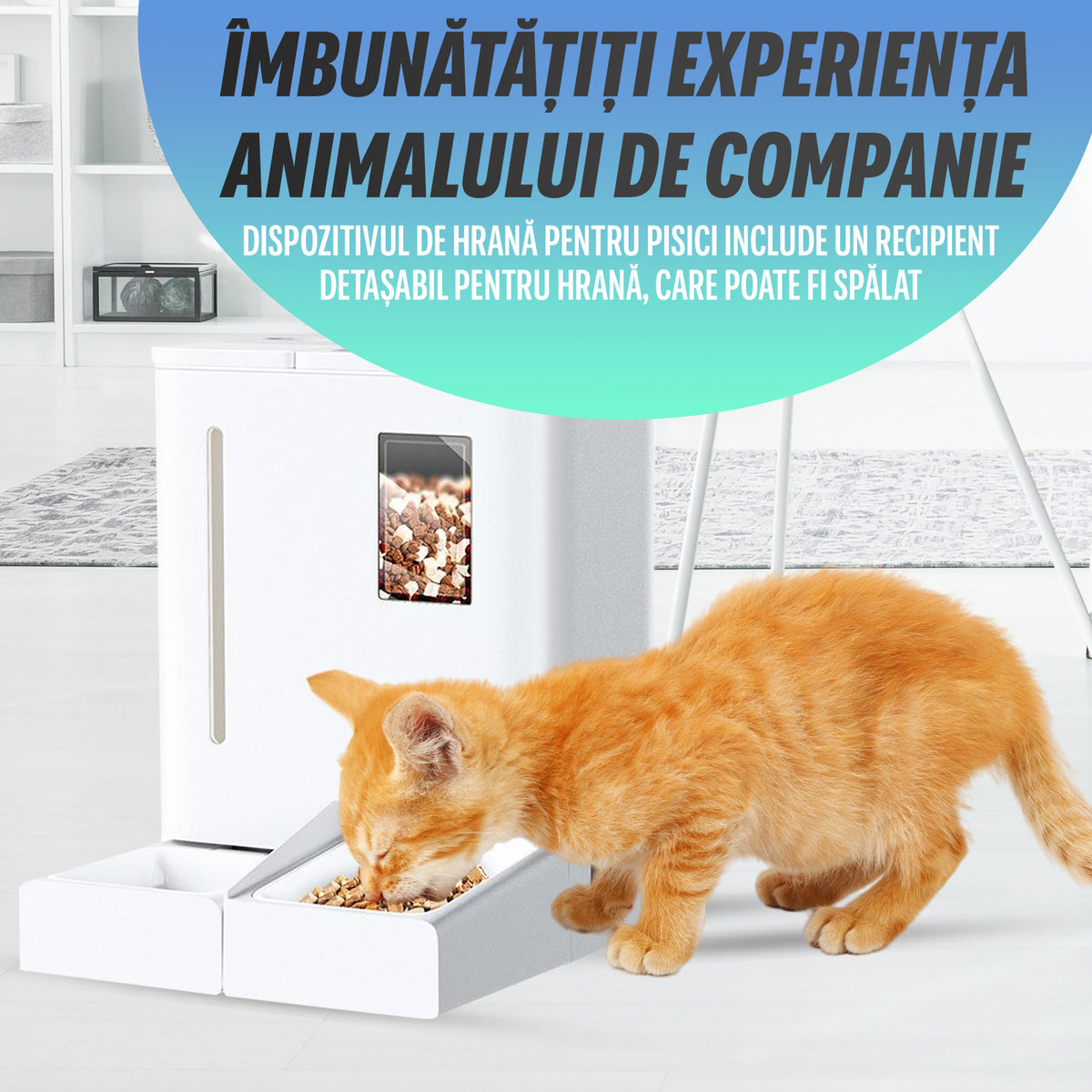 Nivazo Purrleaf 2-in-1 Automatic Feeder