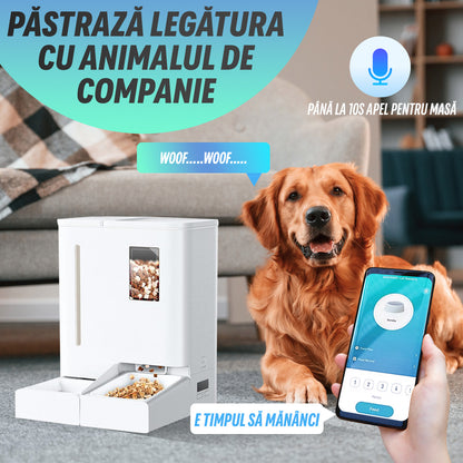 Nivazo Purrleaf 2-in-1 Automatic Feeder
